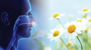 ερωτήσεις για αλλεργίες